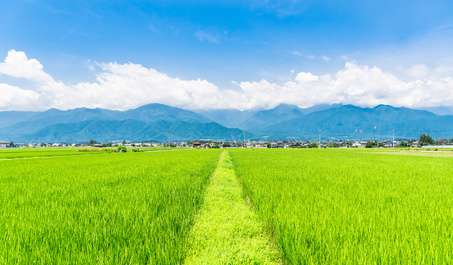 【寂しい】他県へ嫁いだ妻たちの集い【幸せですか？】