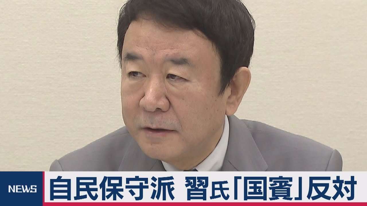 自民保守派 習氏「国賓」に反対 - YouTube