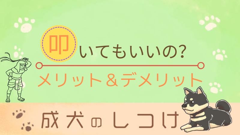 犬を叩いてしつけてもいいの？信頼関係がガクンと崩れるよ｜犬をド真ん中に