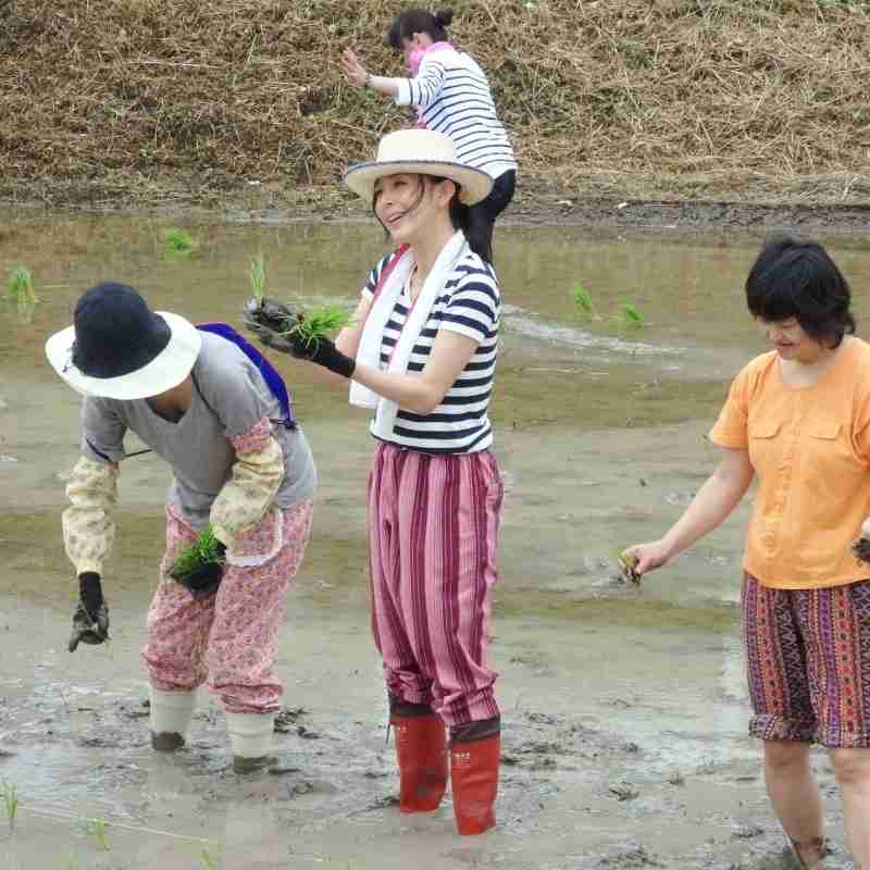 杉本彩さん好きな人