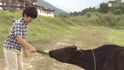 上皇后さま、血混じる嘔吐も　ストレス原因か、経過観察　宮内庁