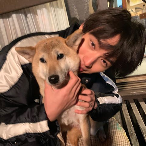 他人の家に犬を連れ込む人
