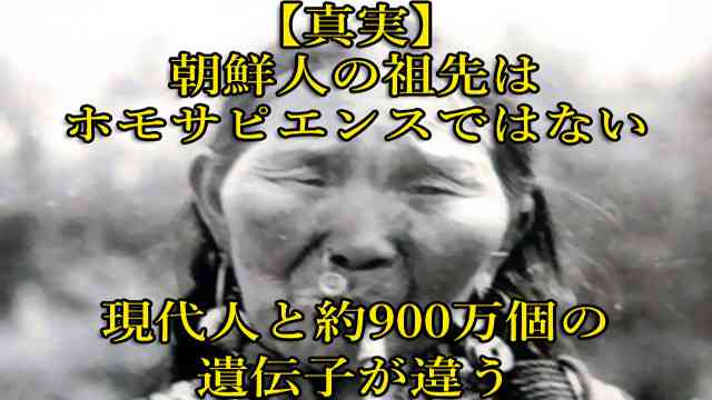 ★【要拡散】 朝鮮人・韓国人はホモサピエンスではない　※現代人と約900万個の遺伝子相違 : 世界の真実や報道されないニュースを探る　■地球なんでも鑑定団■
