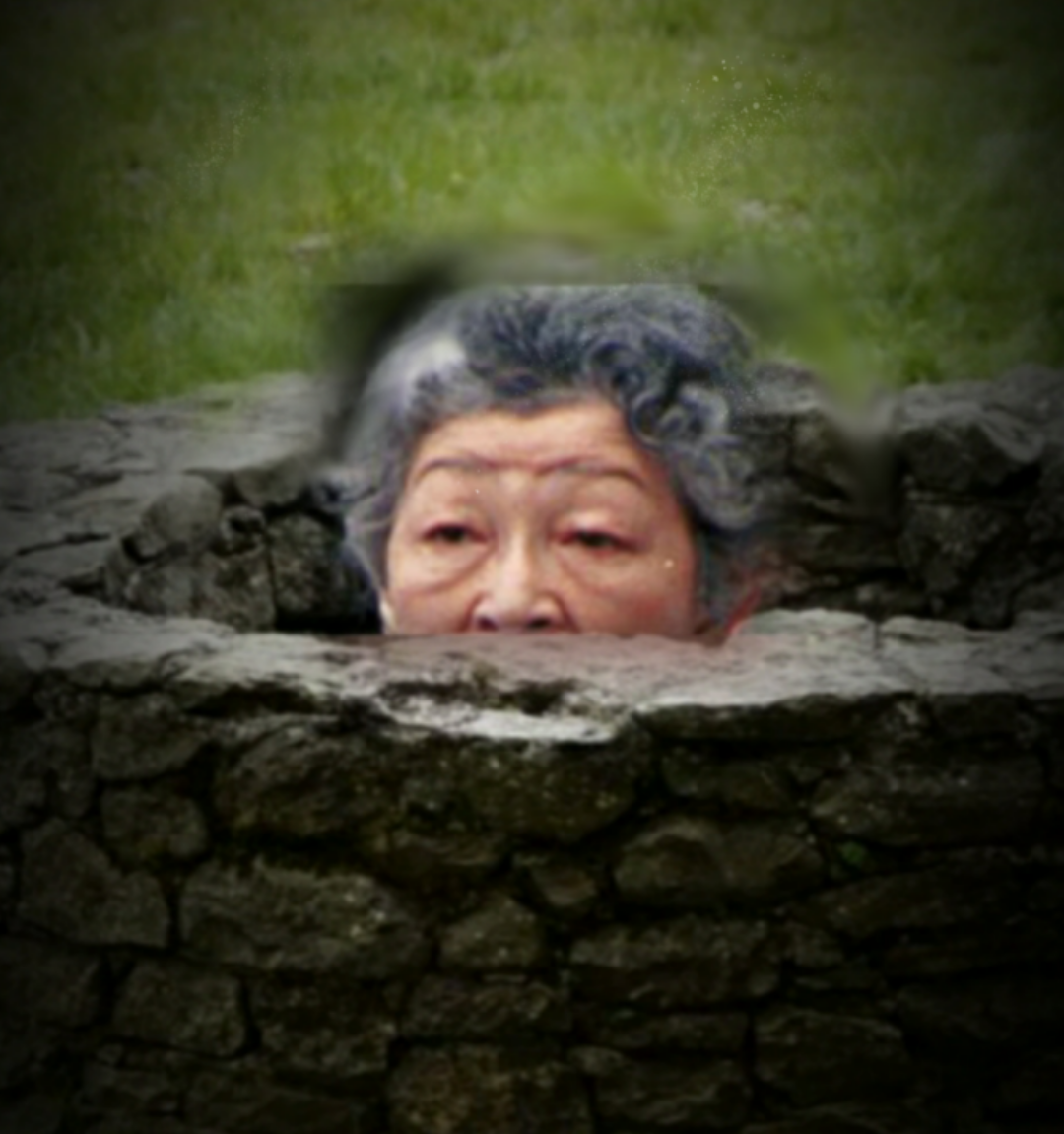 上皇后さま、血混じる嘔吐も　ストレス原因か、経過観察　宮内庁