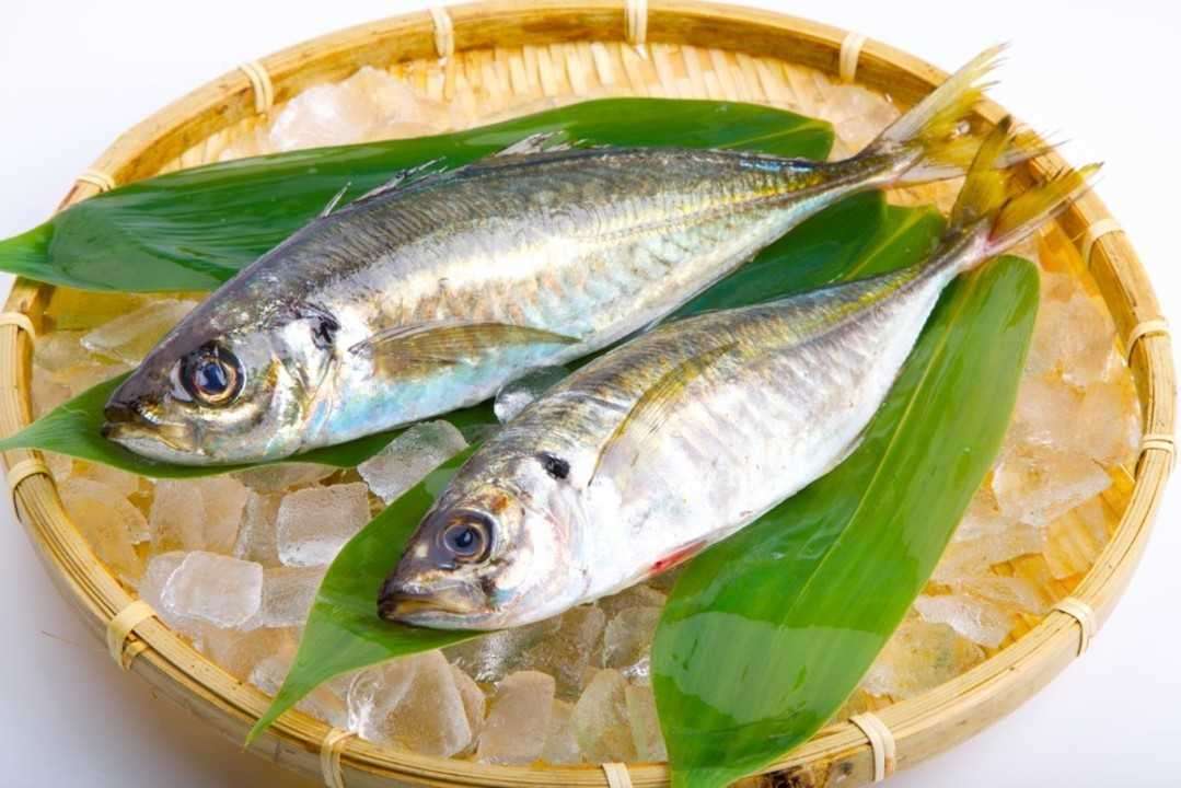 子供たちが「アジ」になりきれるシュールな施設が話題…干されて最後はアジ定食に - FNN.jpプライムオンライン