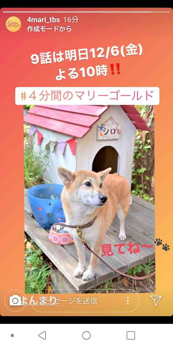 【実況・感想】金曜ドラマ「4分間のマリーゴールド」#9