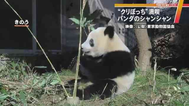 クリスマスに予定があるふり、2割が「経験あり」と回答　「出前を2人分頼んだ」という人も