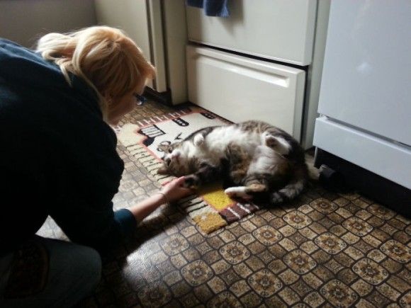 おいまてちょっとまて。うちは猫を飼ってないんはずなんだけど・・・なぜか猫に支配されている人々の日常 : カラパイア