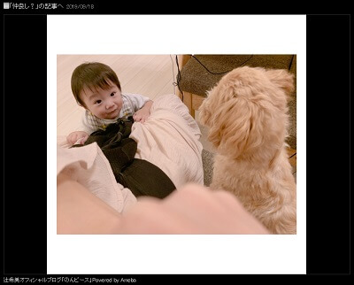 辻希美、ブログに登場しない愛犬やうさぎのその後に心配の声「生きてるのか気になる」