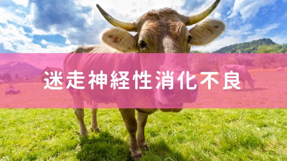 迷走神経反射について