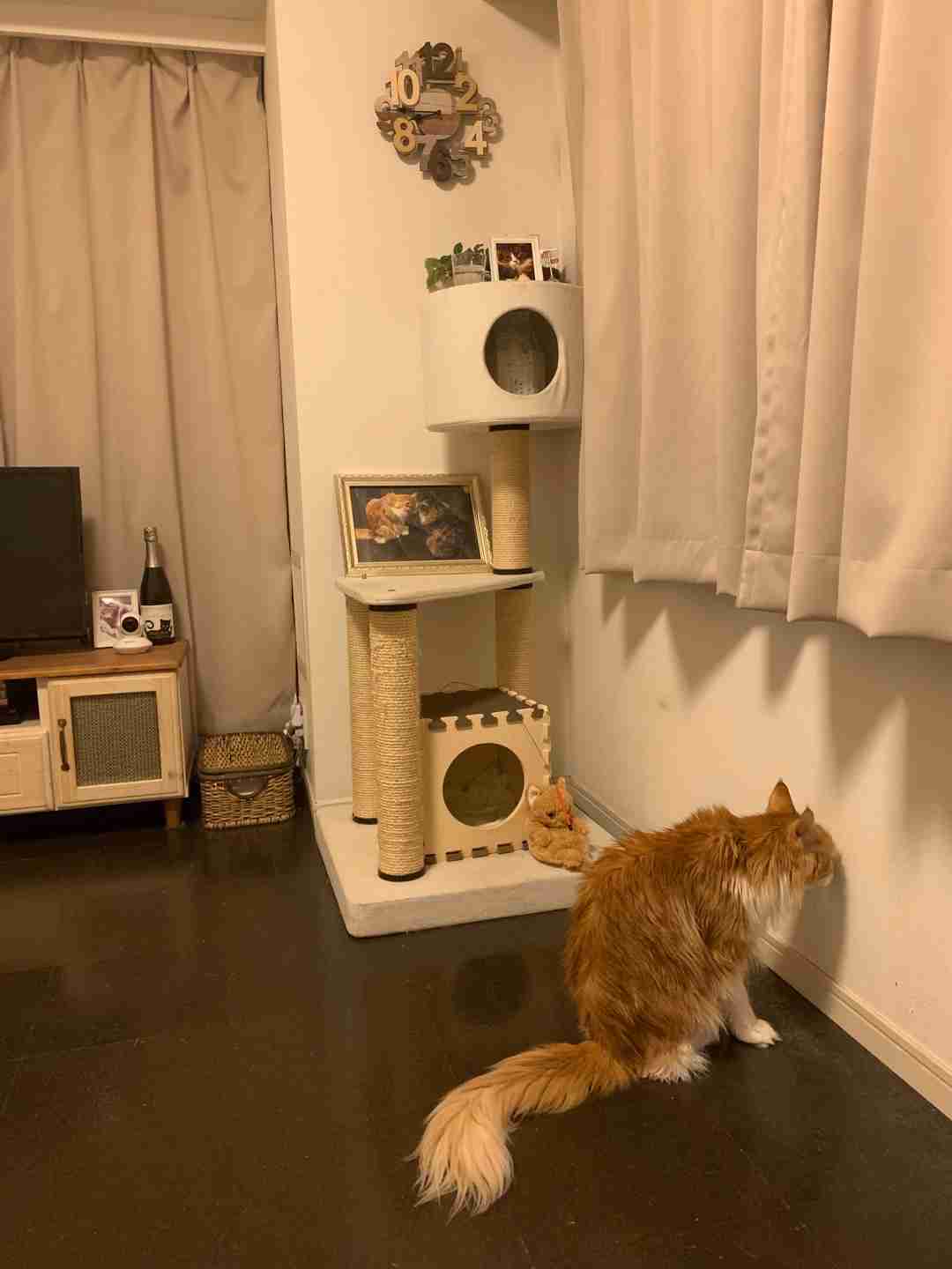 『ガールズちゃんねる』 | 遠野なぎこオフィシャルブログ「Nagiko Tono Official  Blog」Powered by Ameba