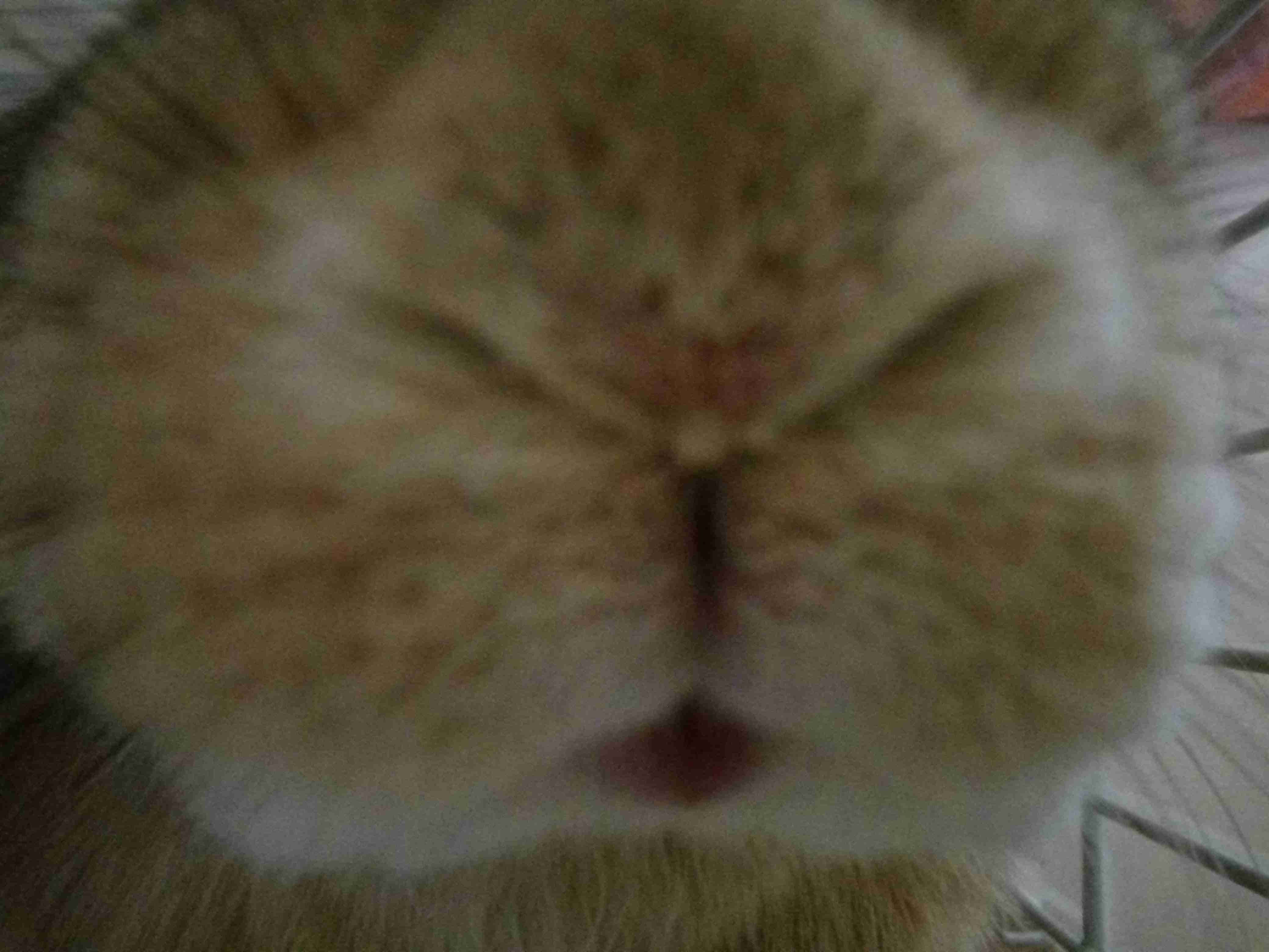 【暇つぶし】画像フォルダの12番目の写真を貼ろう！