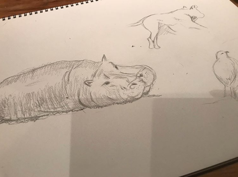 倉科カナ、深夜になぜか“カバの絵”投稿 ファン「うまい」と驚き