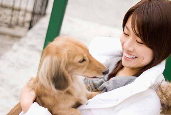 人間よりも動物を信頼？　「嘘や裏切りがないから」との意見も