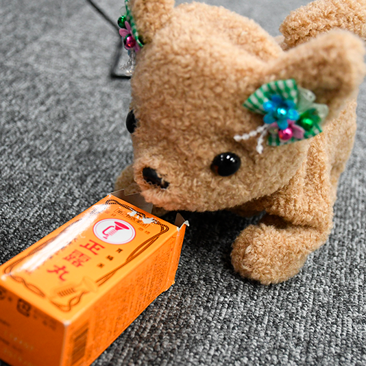 臭いを嗅ぐロボット「はなちゃん」がやってきたので正露丸を匂わせてみた | NIWAKASOFT株式会社