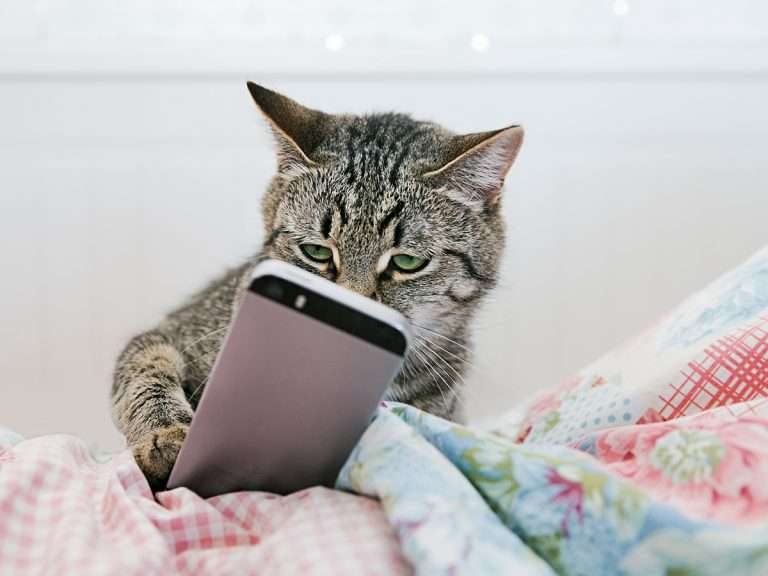 LINEやってない人～