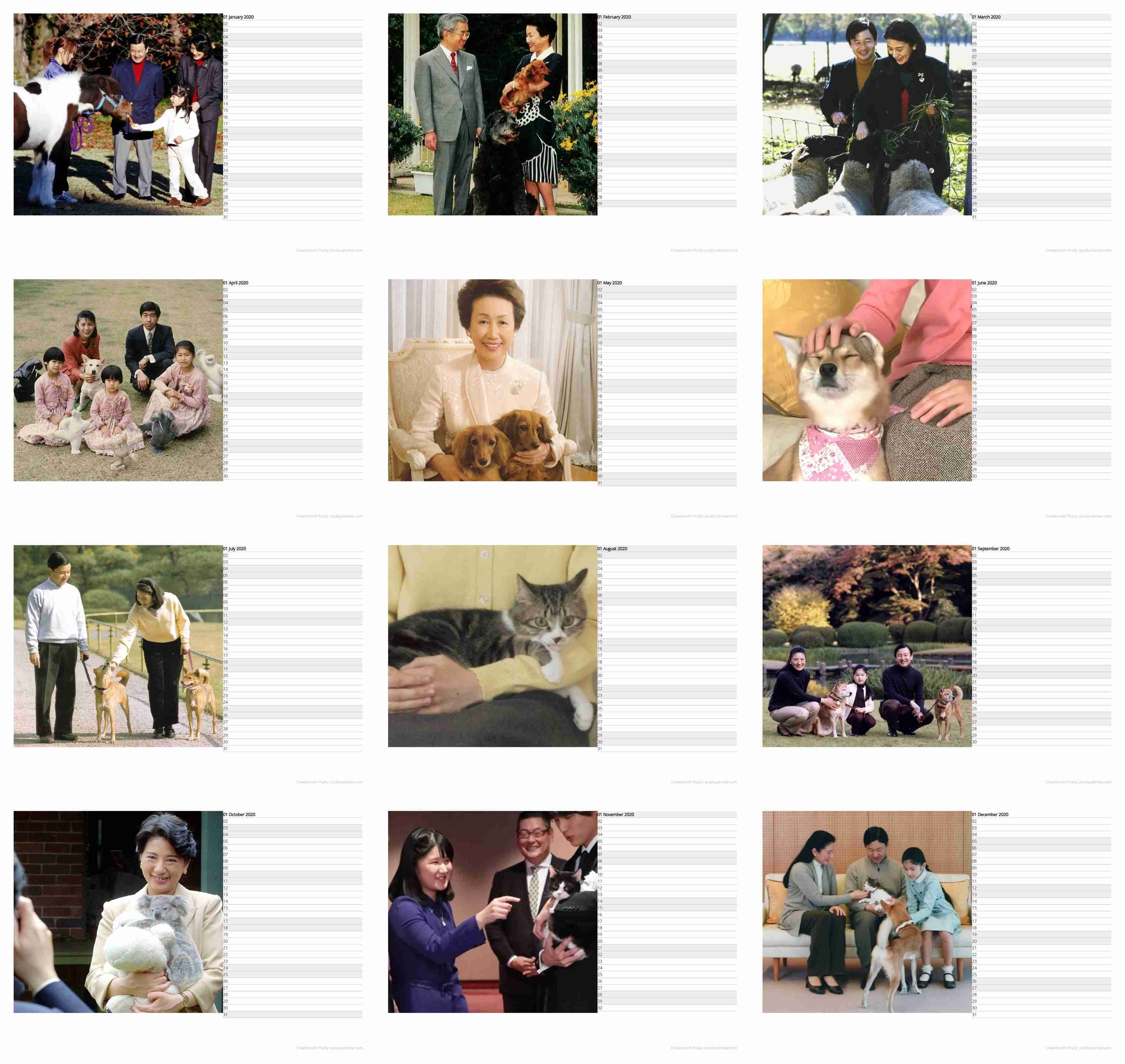 上皇后さま、血混じる嘔吐も ストレス原因か、経過観察 宮内庁