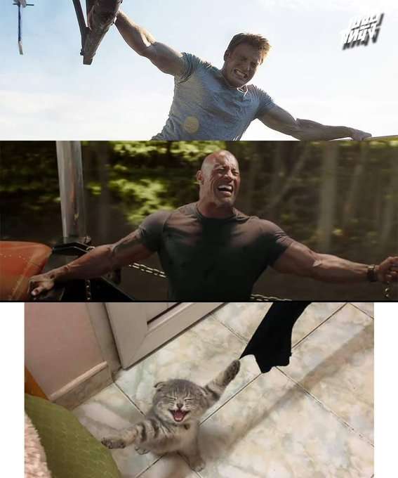 「助けて～」両手の爪がソファとカーテンに引っかかてしまった猫ちゃんが可哀そうだけど可愛い