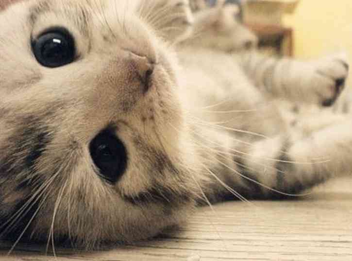 愚痴を書くと誰かが慰めてくれるトピ