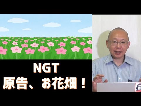 NGT 原告の我田引水、お花畑の結論 - YouTube