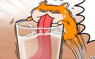         生きぬけ！爆走！クソハムちゃん｜裏サンデー    