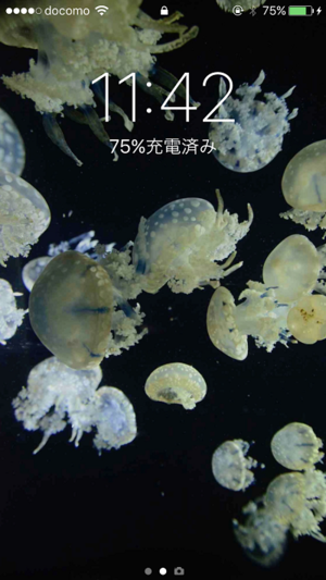 iPhoneで壁紙のサイズが合わないときの解決策｜エンジョイ！マガジン