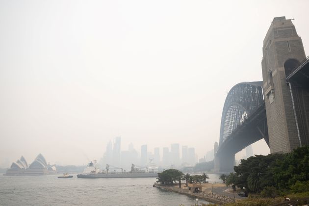 オーストラリアの森林火災の悲惨さ。最大8000頭のコアラが犠牲に