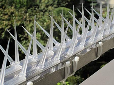 ベランダに鳥が来て困っています