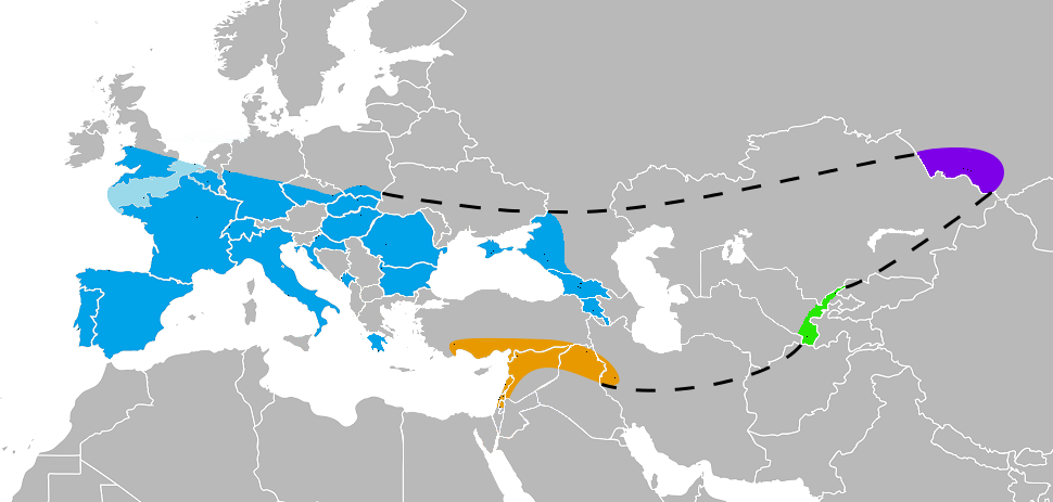 Neanderthal - Wikipedia