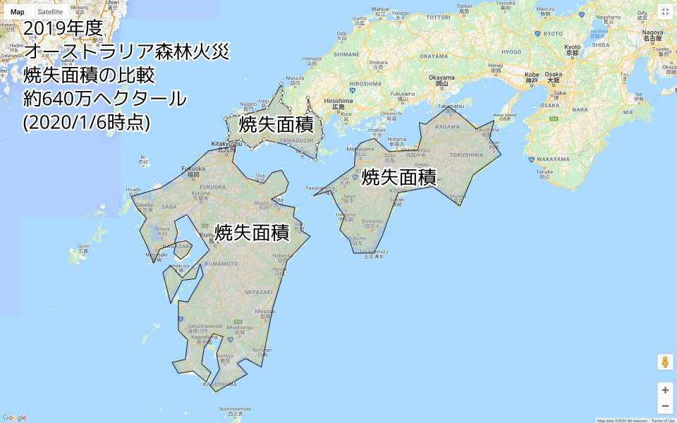 オーストラリアの森林火災の悲惨さ。最大8000頭のコアラが犠牲に