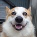 リュウタ on Twitter: 