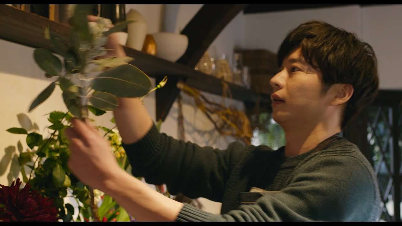 田中圭・主演映画『mellow』　主題歌「花になる」コラボMV解禁 - YouTube