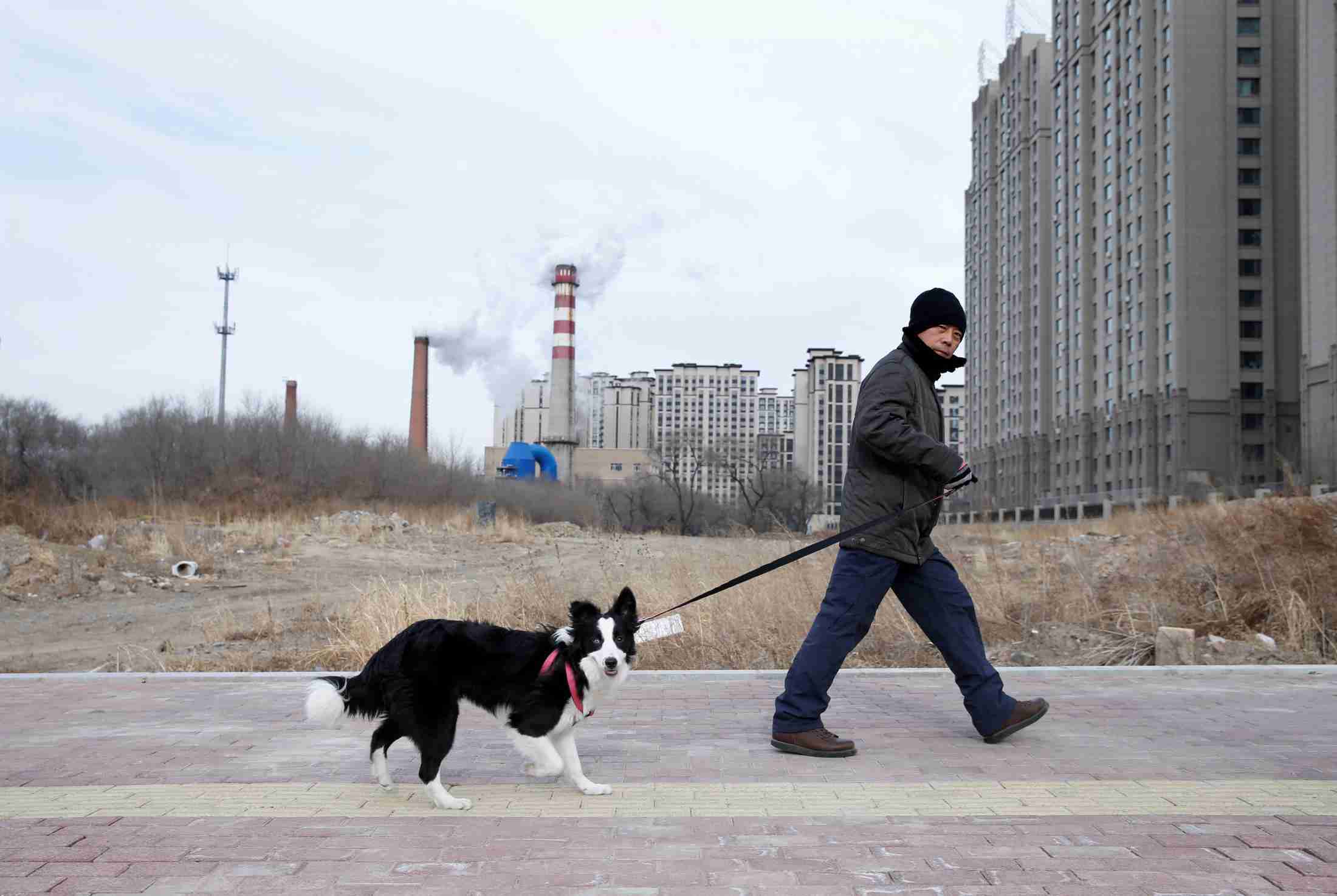 「35センチ以上の犬は禁止、自身で処置しろ」北京市の通知が話題に。その真相は？（ハフポスト日本版） - Yahoo!ニュース