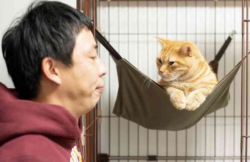 [芸人版] 彼氏感のある画像を貼るトピPart2