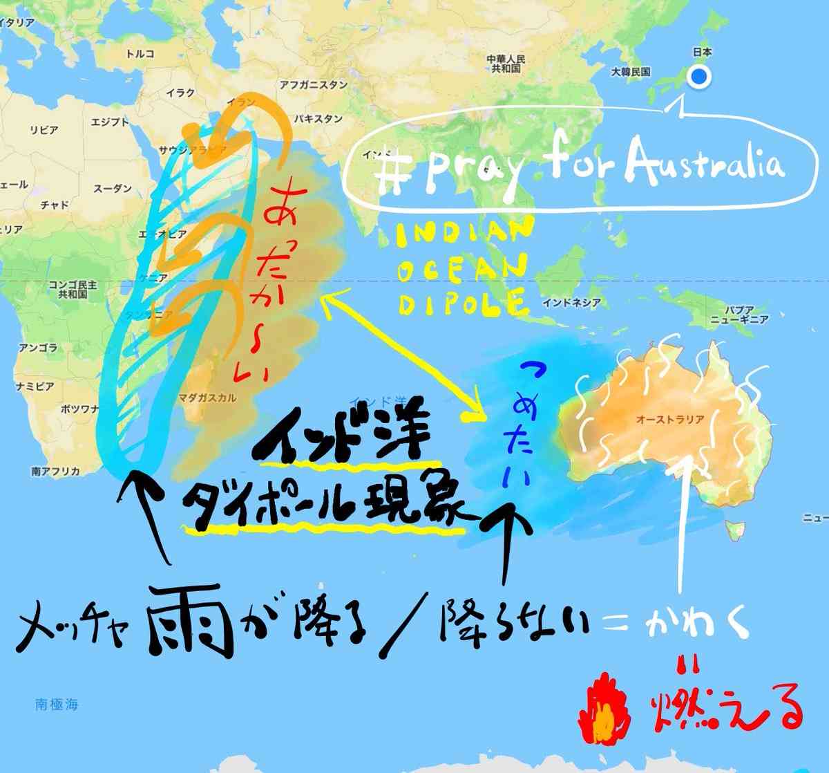 オーストラリアの森林火災の悲惨さ。最大8000頭のコアラが犠牲に