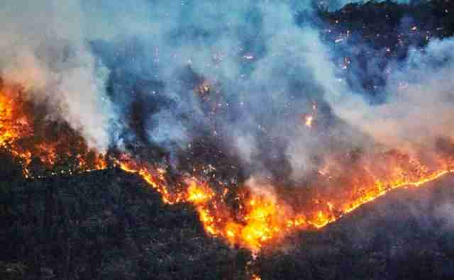オーストラリア山火事の支援金で「寄付したらヌード写真を送ります」とモデルが呼びかけ1億円集まる