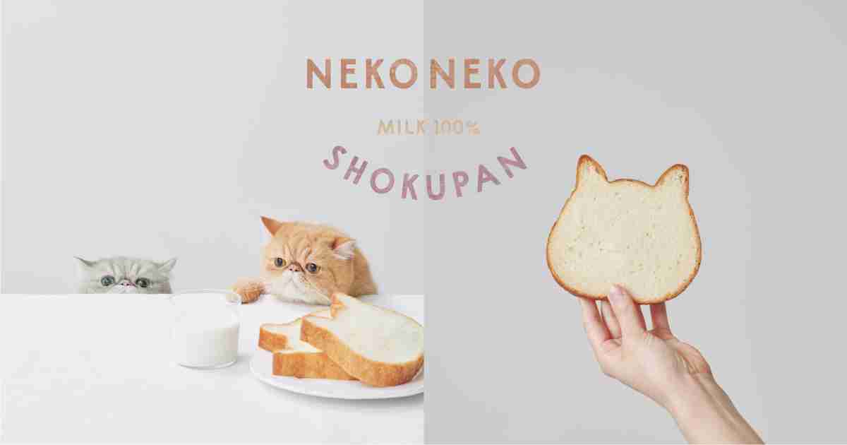 ねこねこ食パン | MILK 100% SHOKUPAN