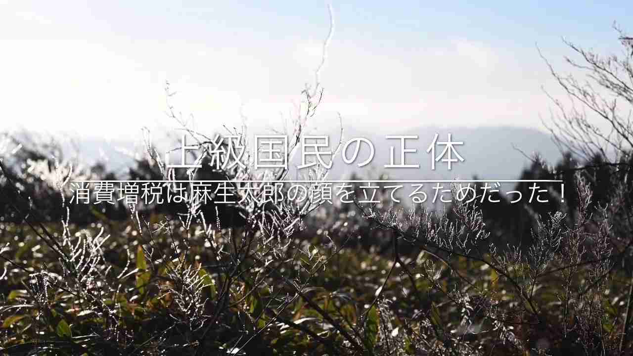 上級国民の正体（消費税増税は麻生太郎の顔を立てるためだった!!!） - YouTube