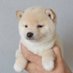 ゆめかわ on Twitter: 