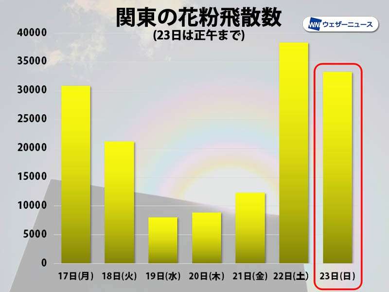 強風で花粉大量飛散　関東は今年一番の飛散数か
