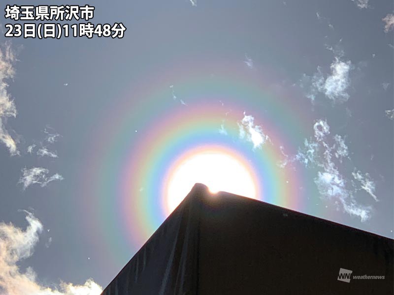 強風で花粉大量飛散　関東は今年一番の飛散数か - ウェザーニュース
