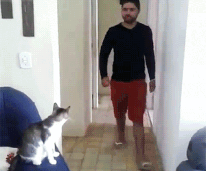 ハイタッチの交わし方