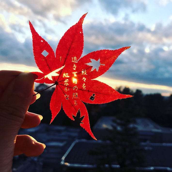 修学旅行で紅葉を拾って帰ってきた高校生　出来上がった作品に「芸術的すぎる」の声