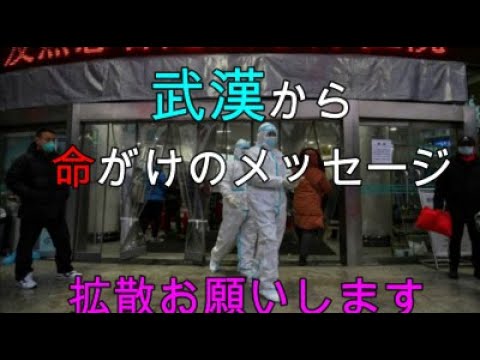武漢から逮捕覚悟で命がけの若者のメッセージ。新型肺炎 コロナウイルス - YouTube