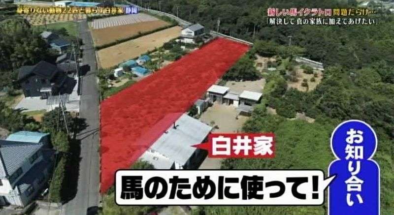 《志村どうぶつ園「白井家」に行政指導》愛馬ラスティの「放牧場」は所有者に無断使用の農地だった