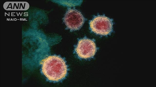 米国で初　感染ルート不明の新型コロナ感染者を確認