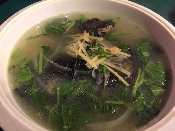 【閲覧注意】パラオで食べた「コウモリのスープ」が3段階でヤバかった / 肉は○○の味に近い | ロケットニュース24