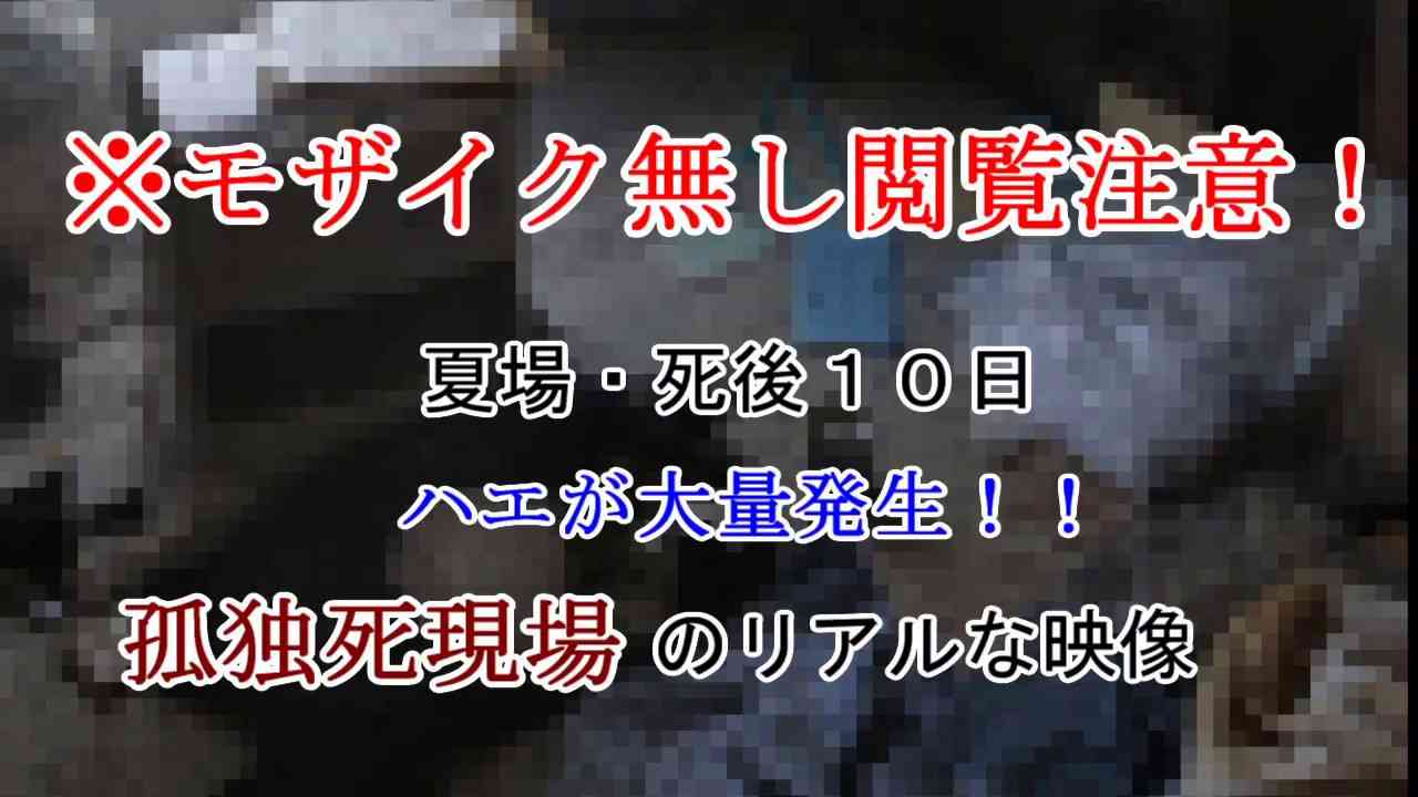 《モザイク無し閲覧注意！》孤独死（自殺）現場の特殊清掃 - YouTube