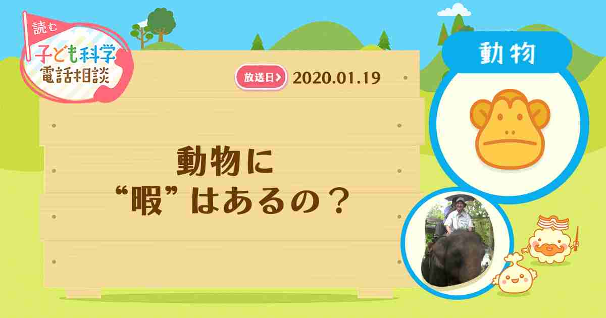 動物に“暇”はあるの？｜読むらじる。｜NHKラジオ らじる★らじる