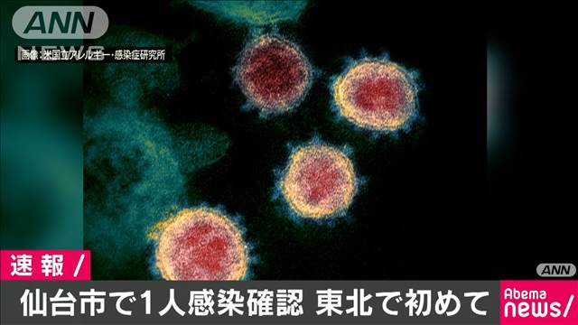 新型コロナ　仙台市で1人感染確認　東北地方で初